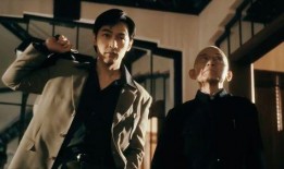 潜龙爆料韩红视频大全集,韩红视频大全集幕后故事全解析