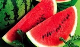 南宁网红吃瓜公众号推荐